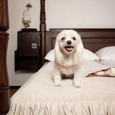 Dwór Polski Hotel 4*