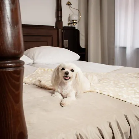 Szálloda Dwor Polski 4*