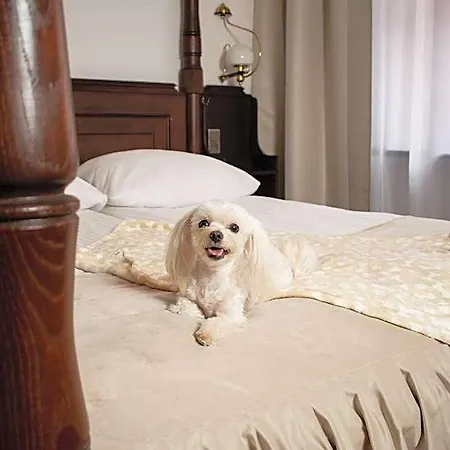 Dwor Polski Hotel 4*