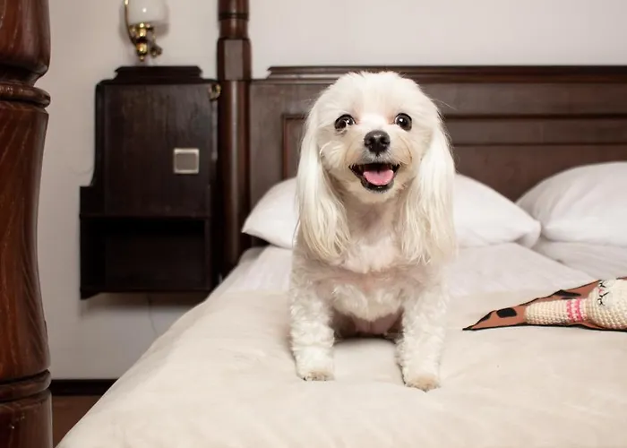 Dwor Polski Hotel 4*