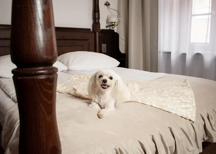 Szálloda Dwor Polski 4*